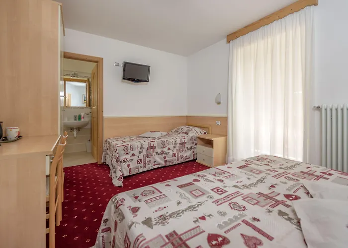 Garni Ciamorc Отель Канацеи